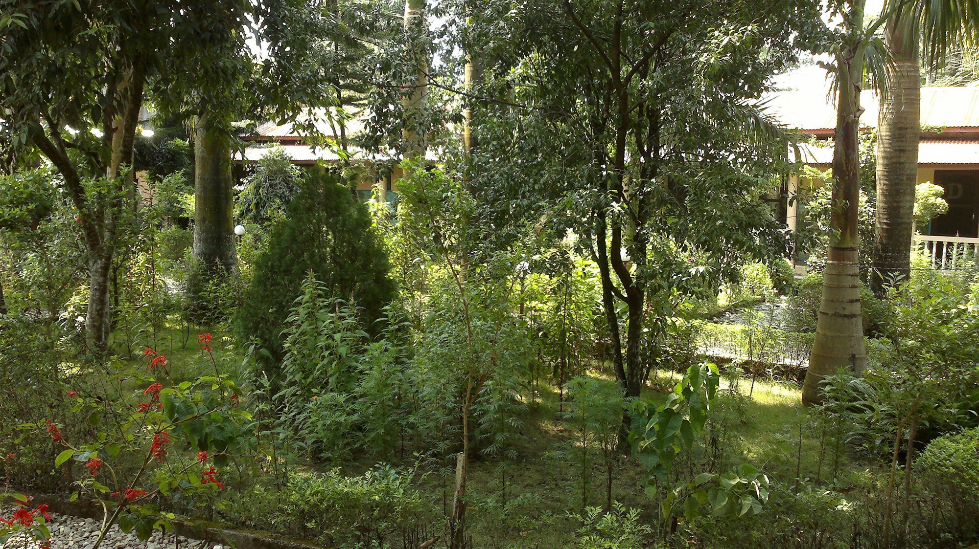 Ama Garden Sauraha Hotel Exterior photo