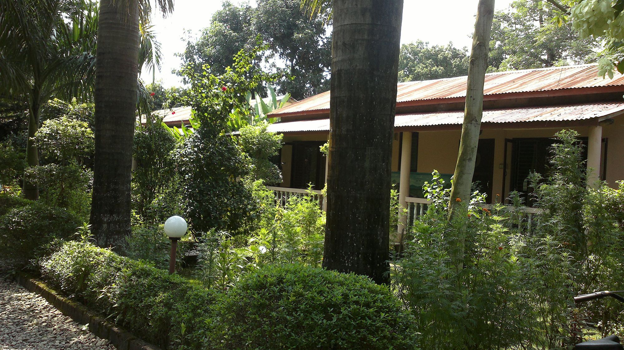 Ama Garden Sauraha Hotel Exterior photo