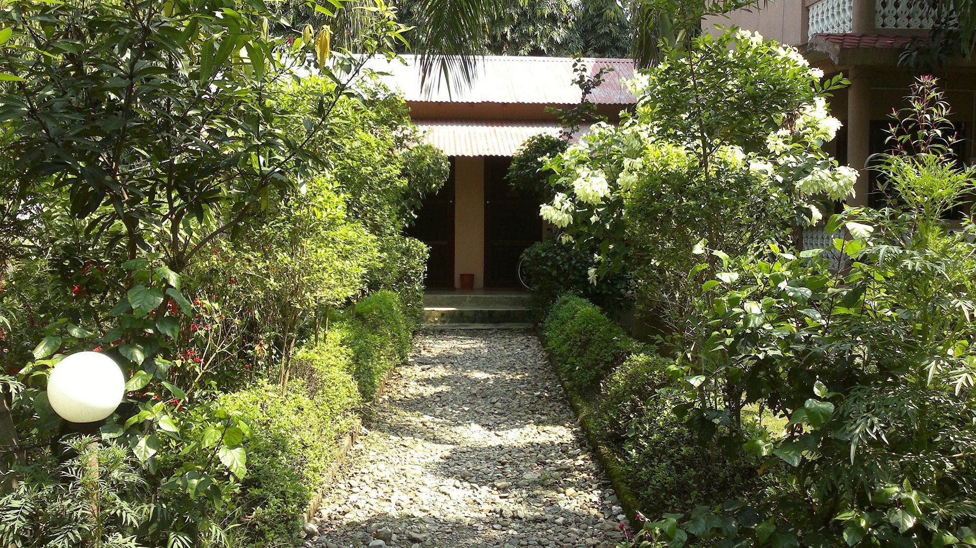 Ama Garden Sauraha Hotel Exterior photo