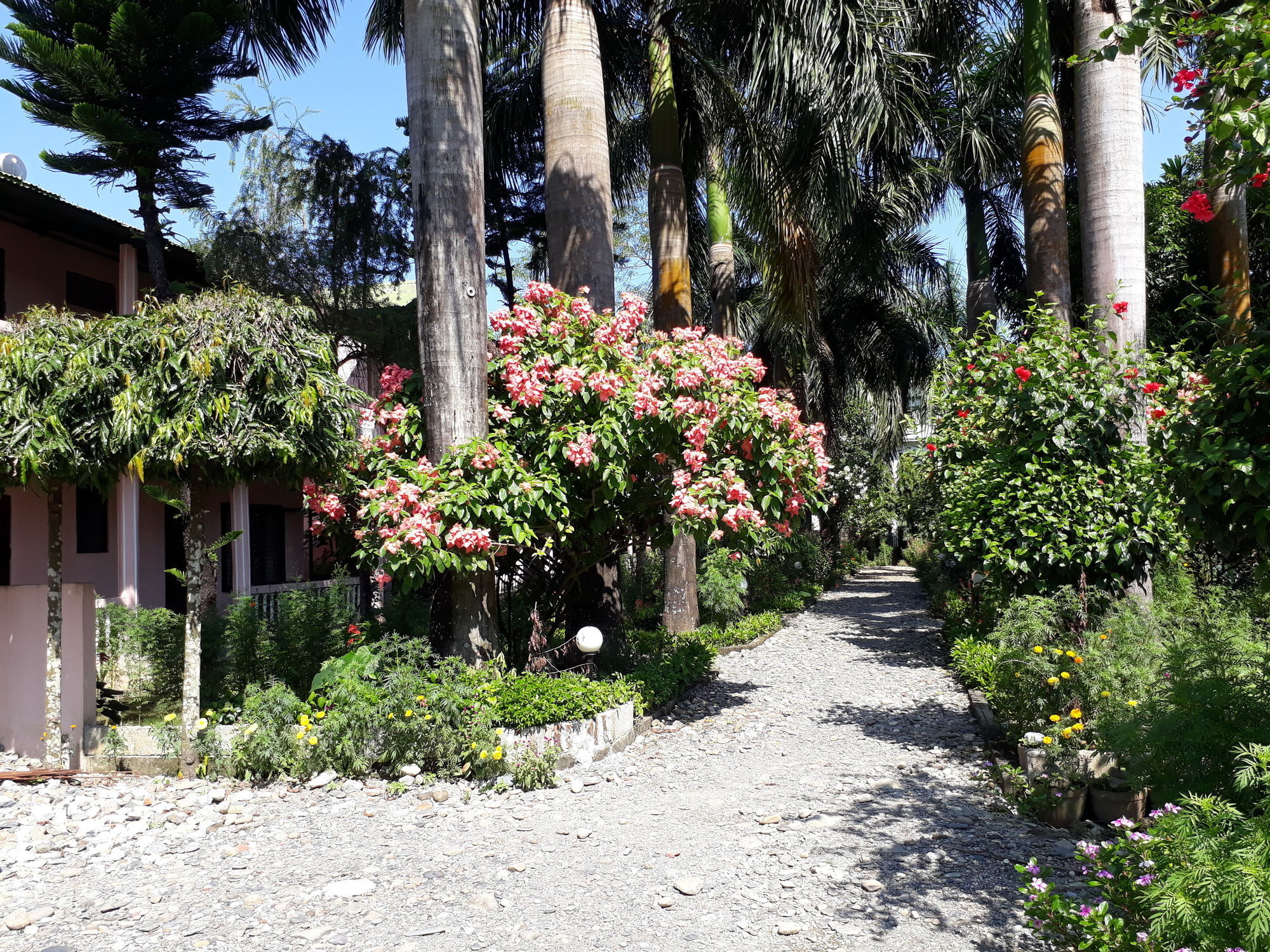 Ama Garden Sauraha Hotel Exterior photo