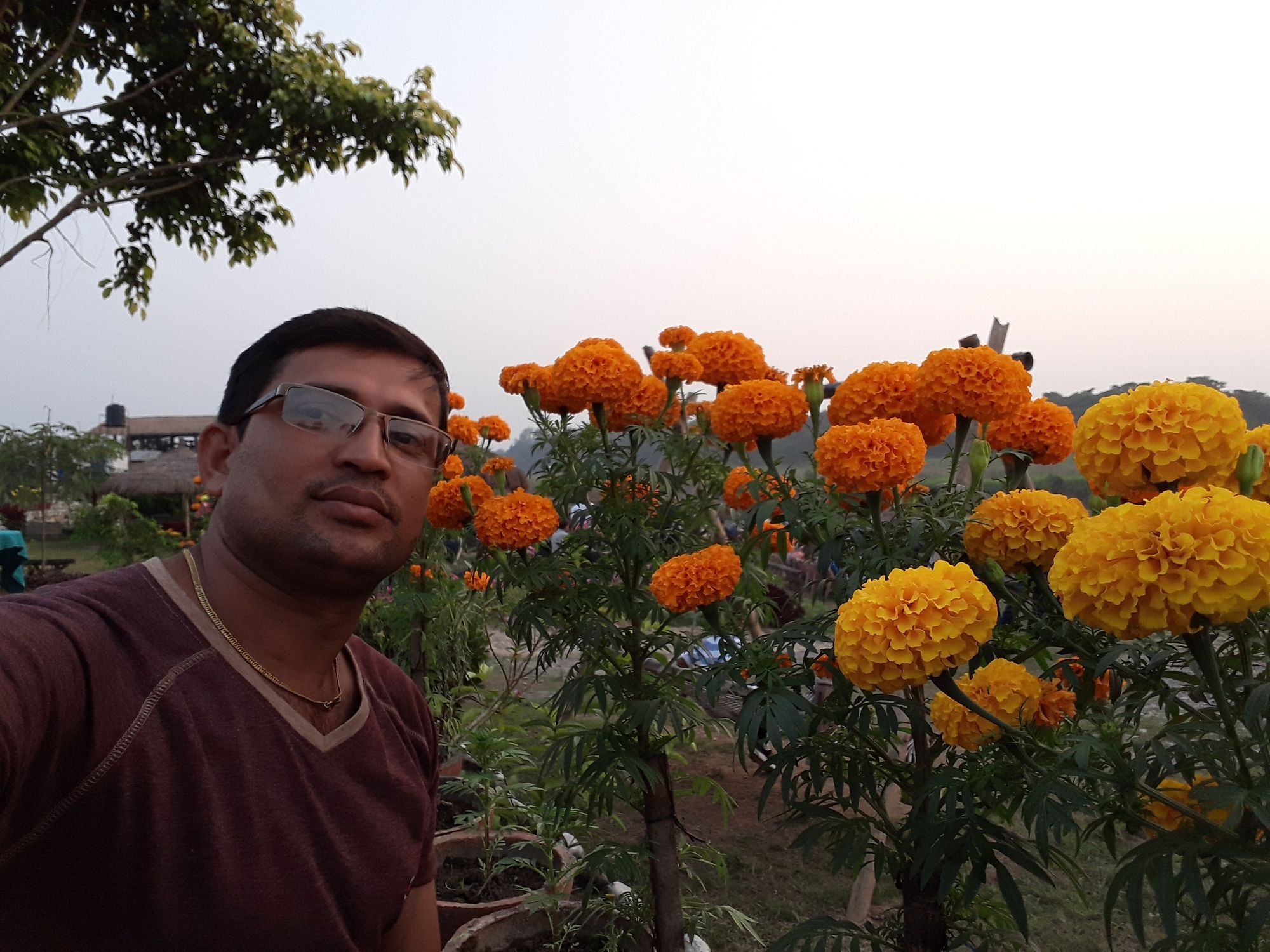 Ama Garden Sauraha Hotel Exterior photo